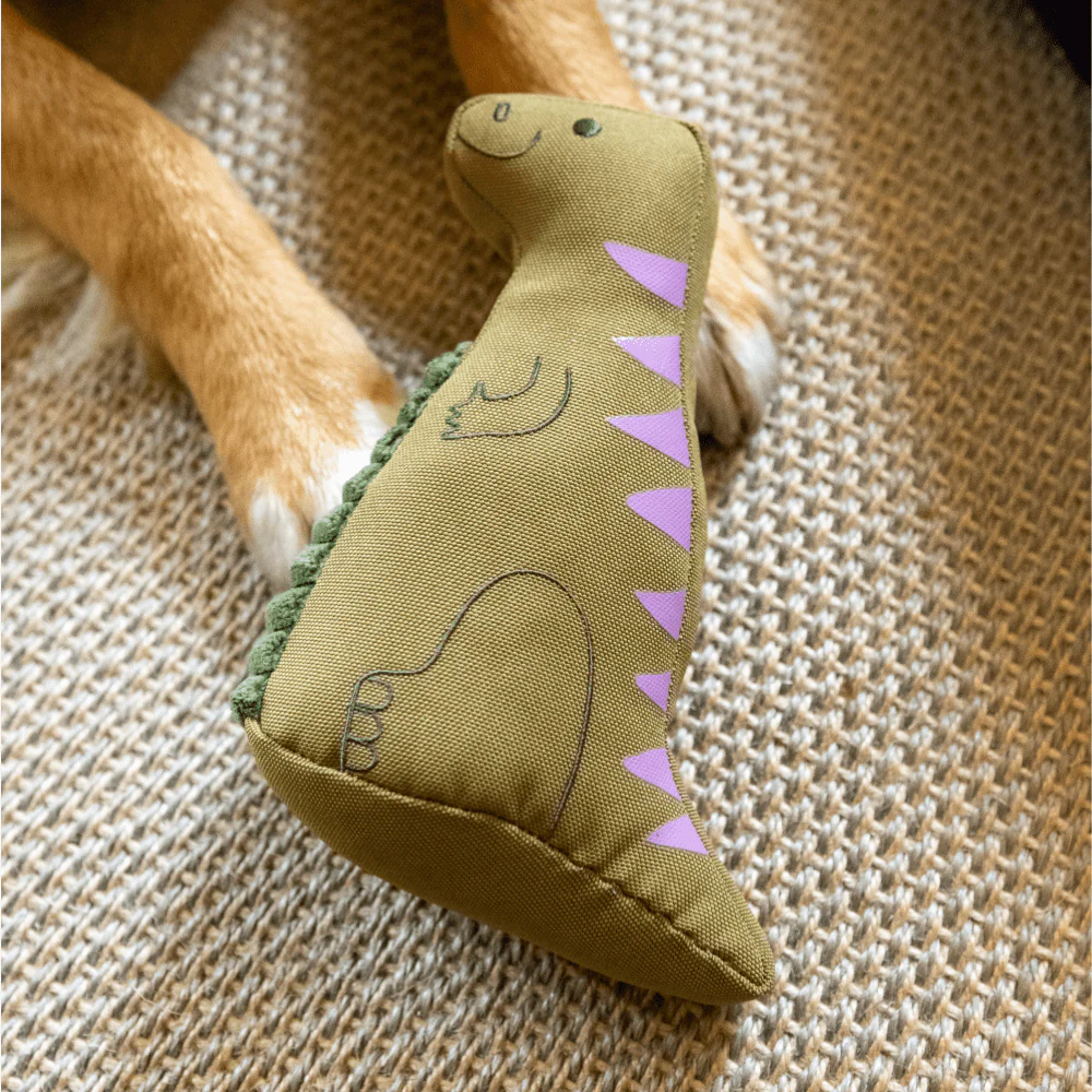 Iguanadon Dinosaur Dog Toy - Image 2