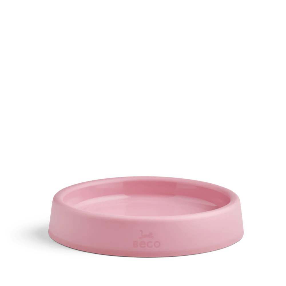 Steady Cat Bowl - Image 7