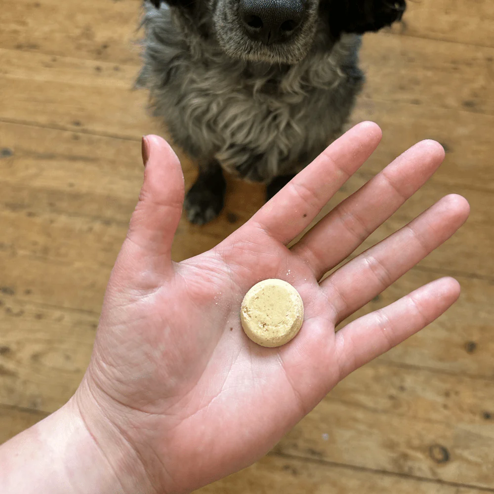 Chicken Liver Dog Treats with Parsnip & Honey - Image 4