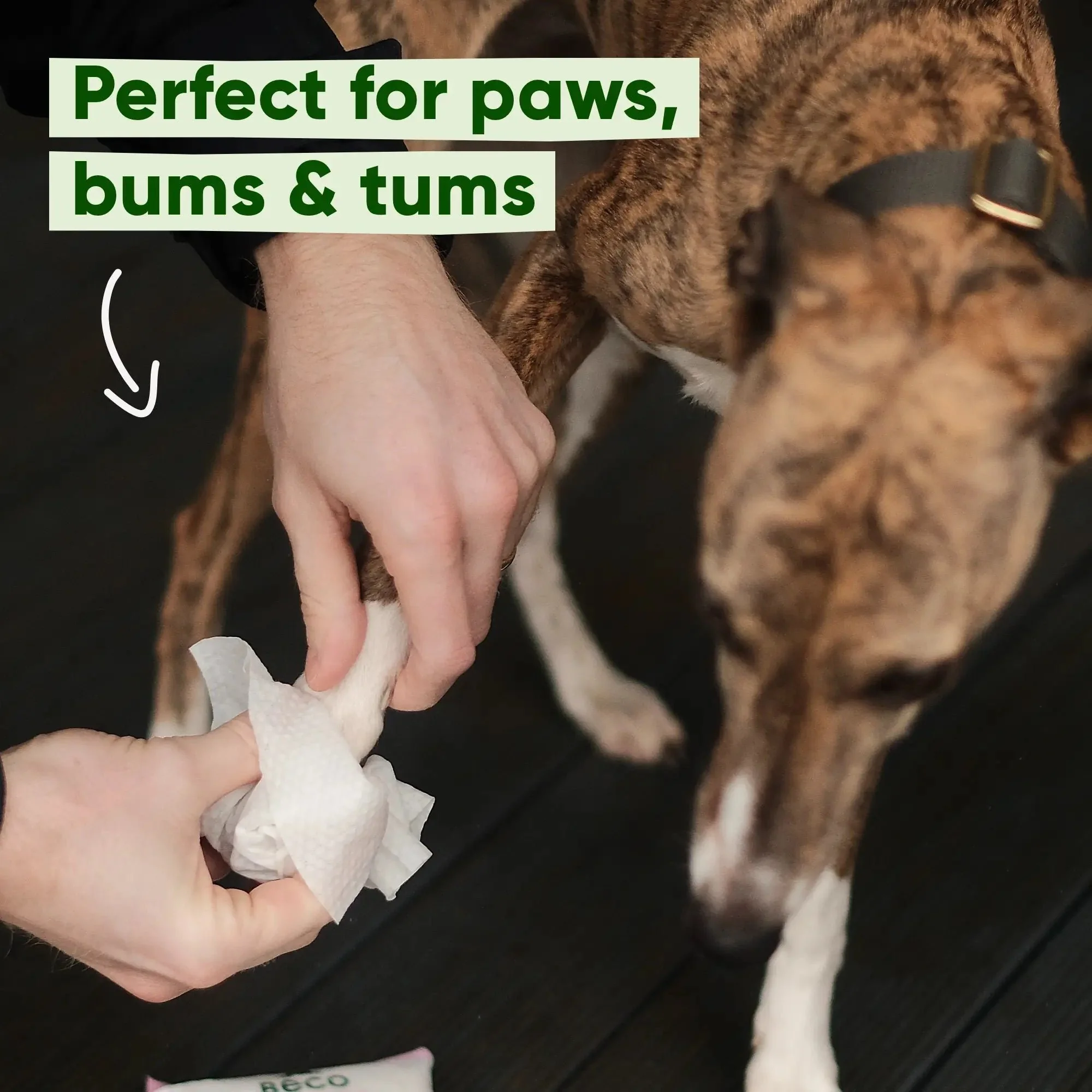 Mucky Pup Bundle - Image 7