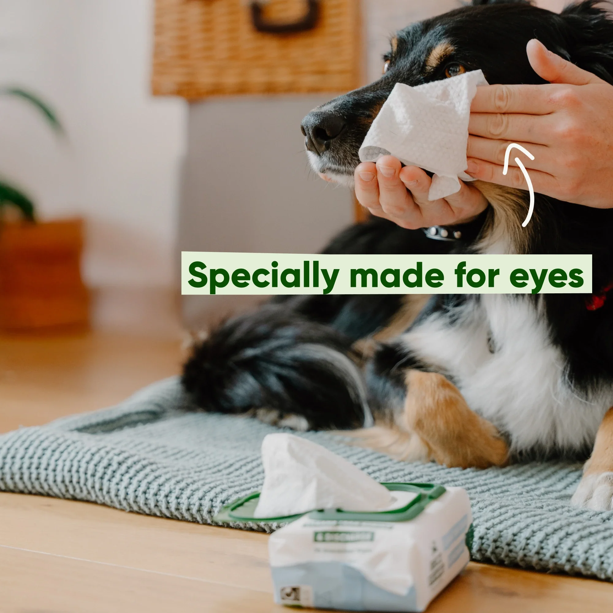 Dog Eye Cleaning Wipes - Image 4