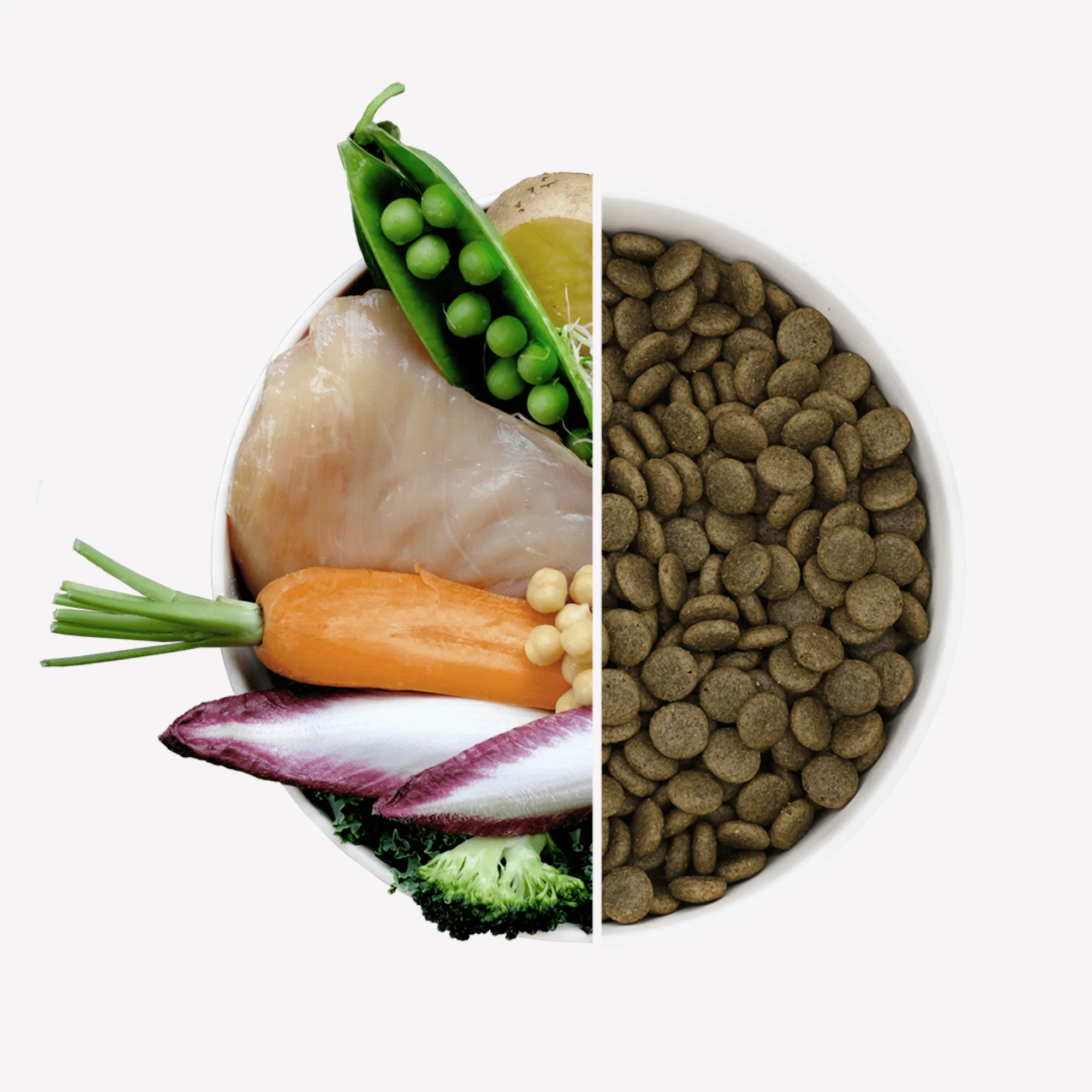 Free Range Chicken Dry Food with Carrot & Chicory - Image 3