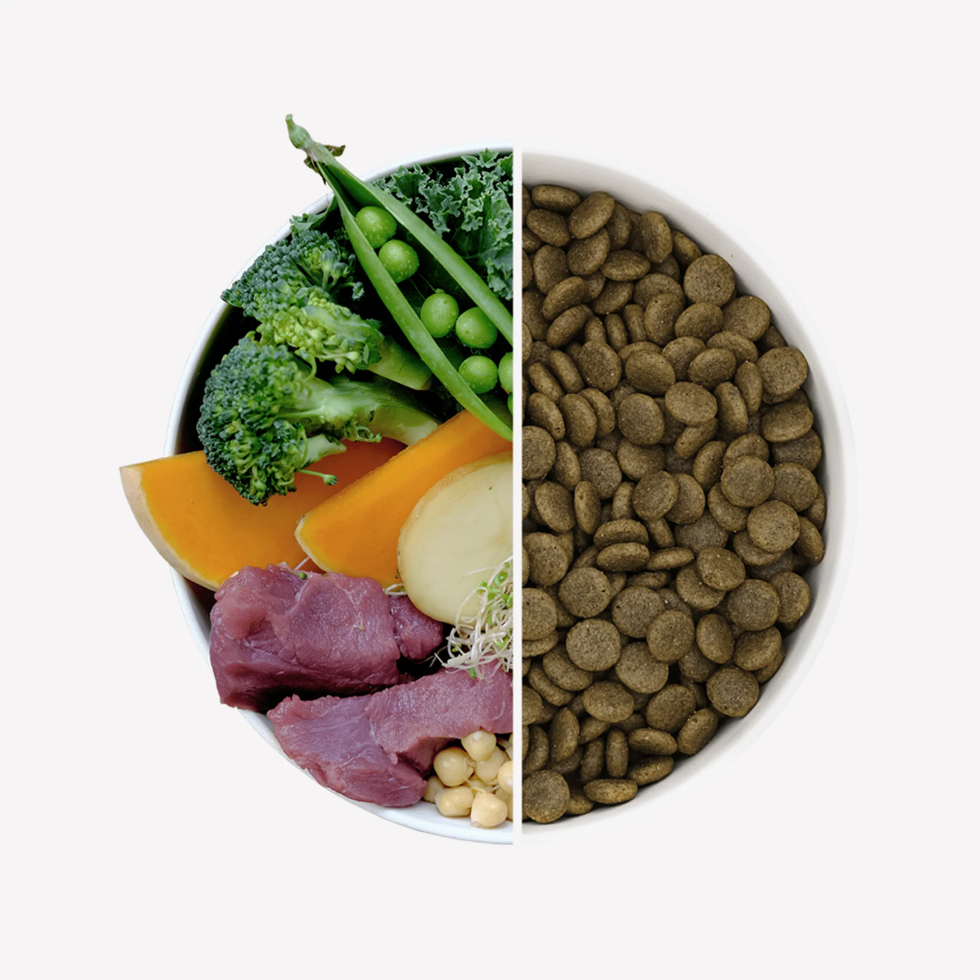 Wild Boar Dry Food with Pumpkin & Broccoli - Image 4