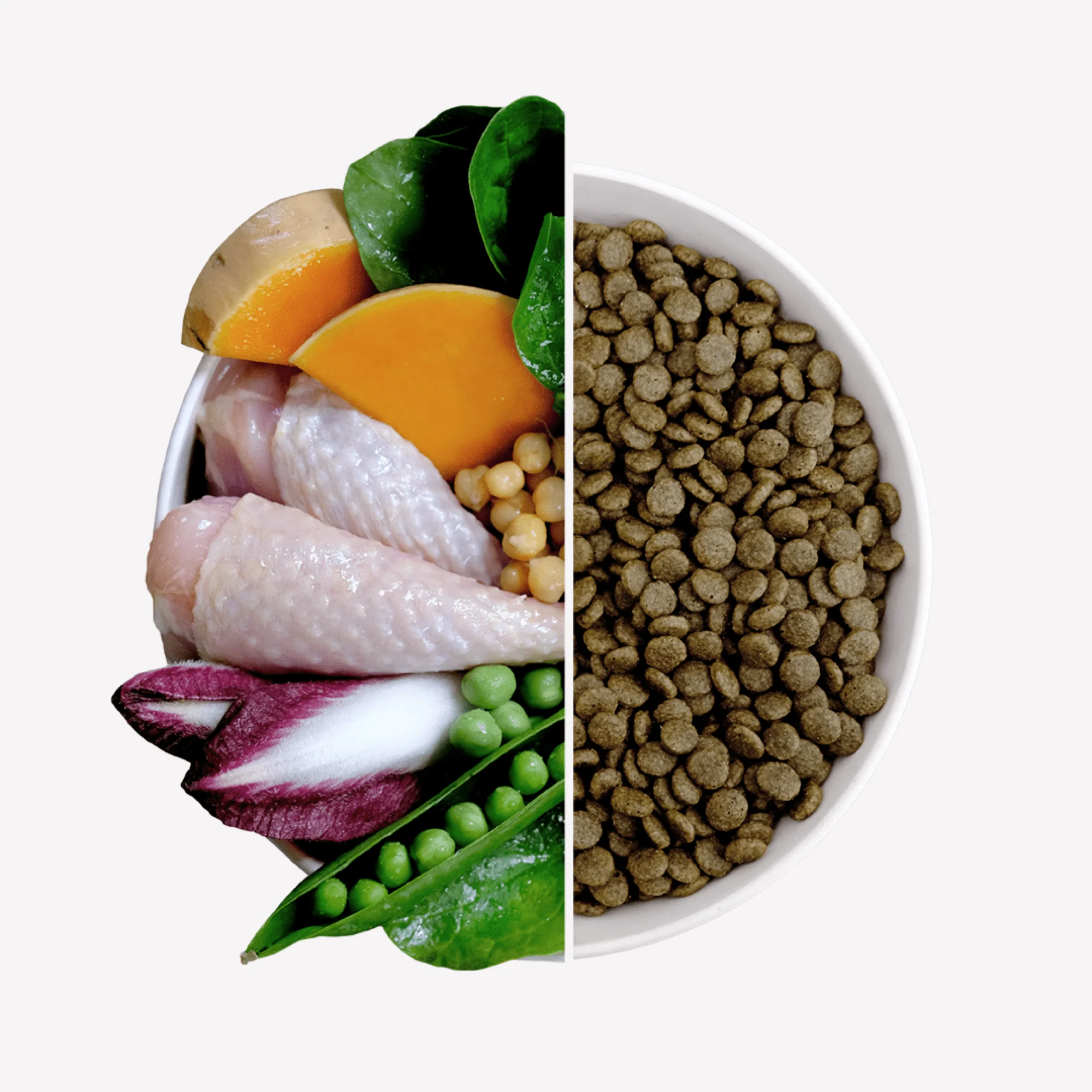 Small Breed Turkey Dry Food with Broccoli & Peas - Image 4