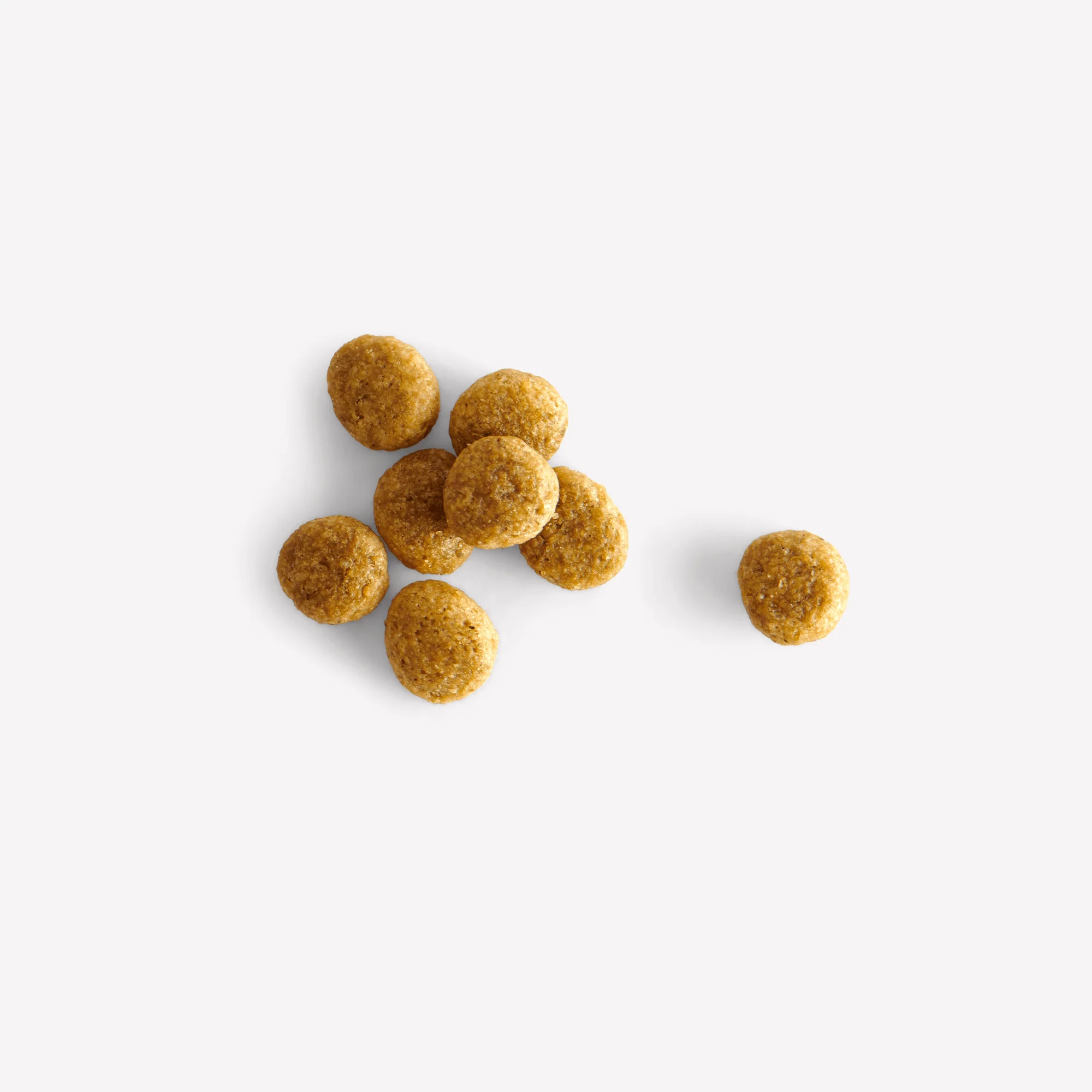 Small Breed Turkey Dry Food with Broccoli & Peas - Image 5