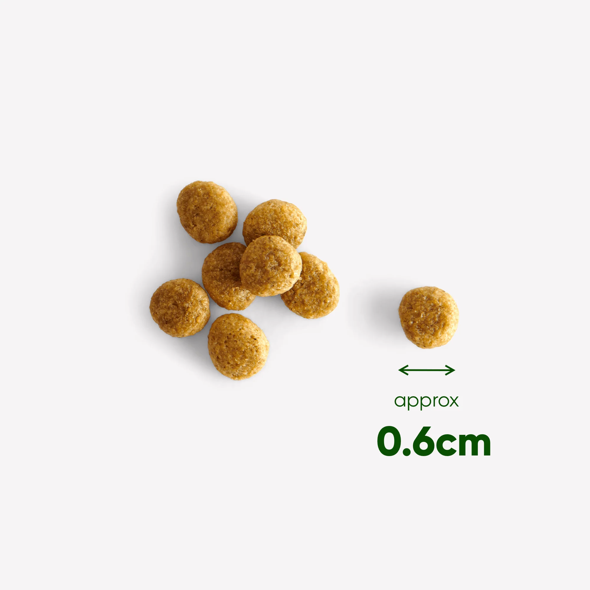 Free-Range Turkey Puppy Food with Pumpkin & Spinach - Image 6