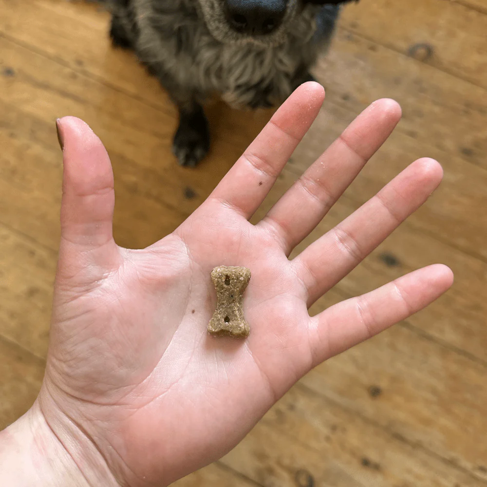 Insect Dog Treats with Apple & Chia Seeds - Image 4