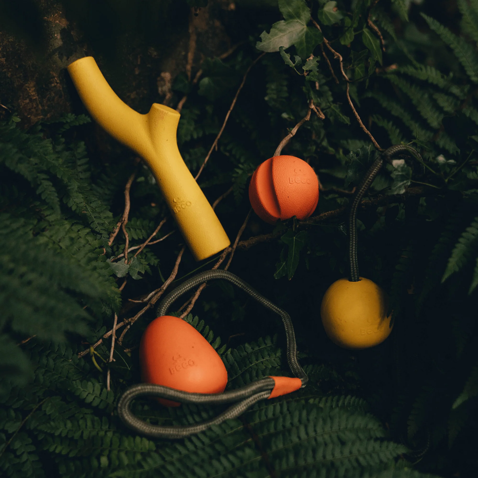 Fetch Ball - Image 3