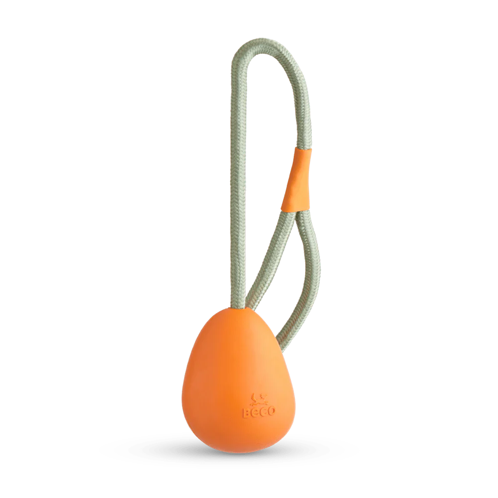 Slinger Pebble