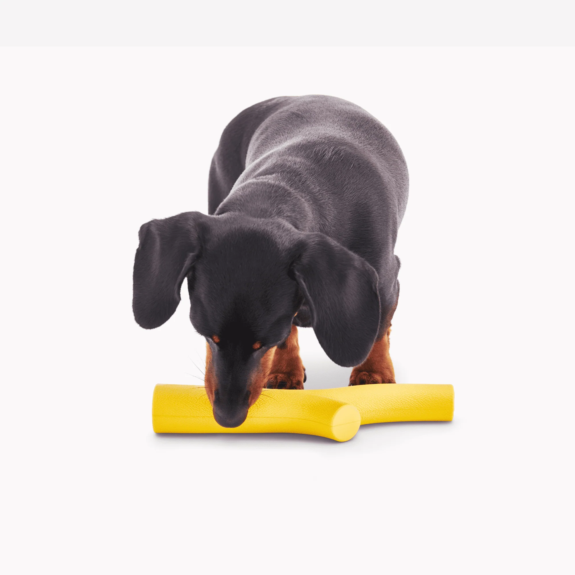 Super Stick - Image 4