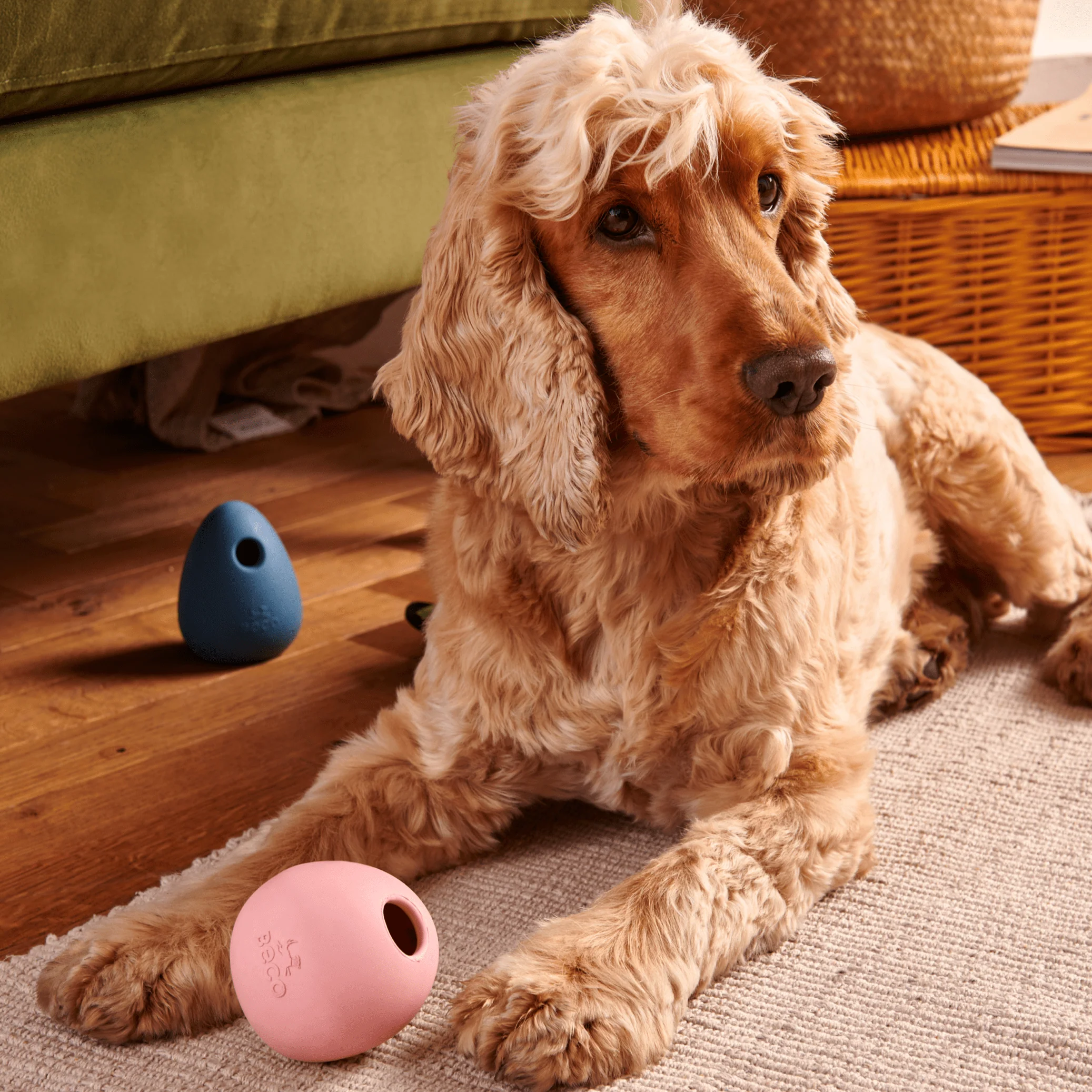 Wobble Ball - Image 2