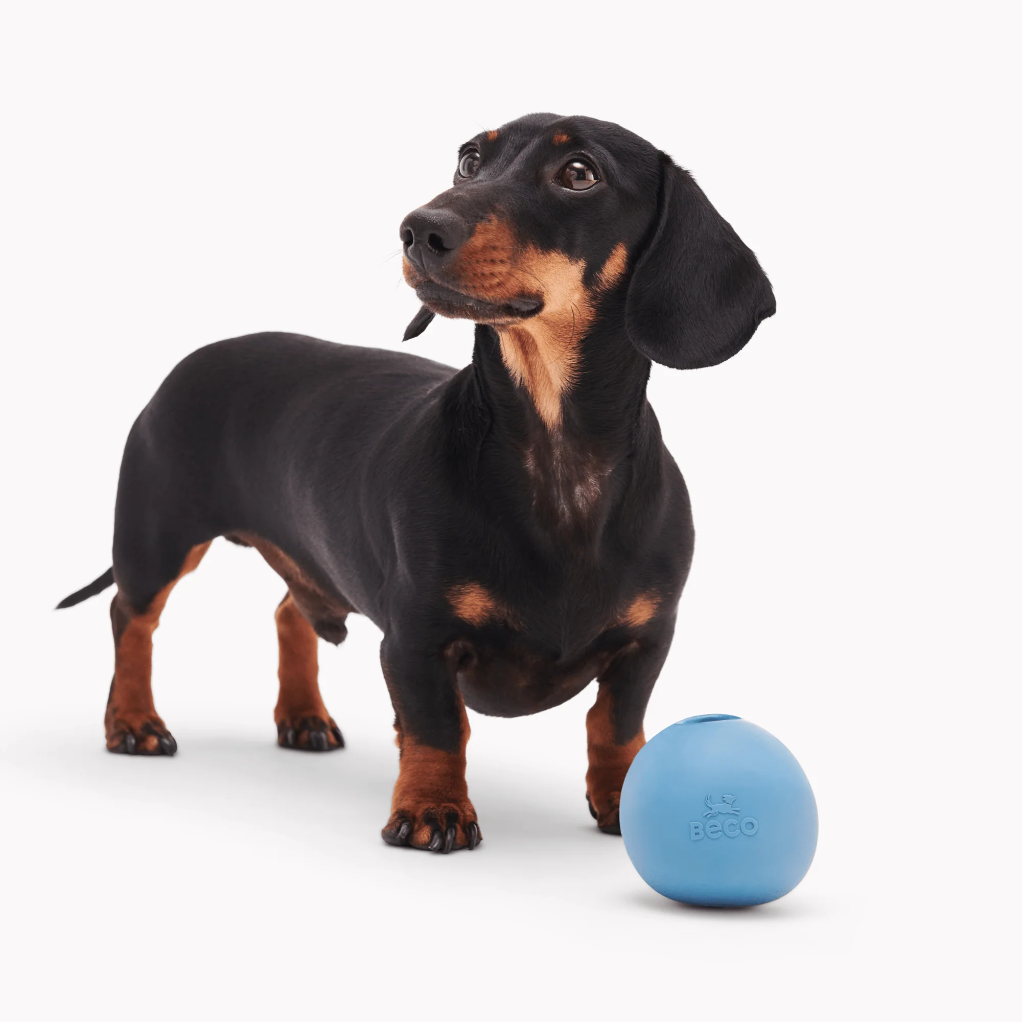 Wobble Ball - Image 4