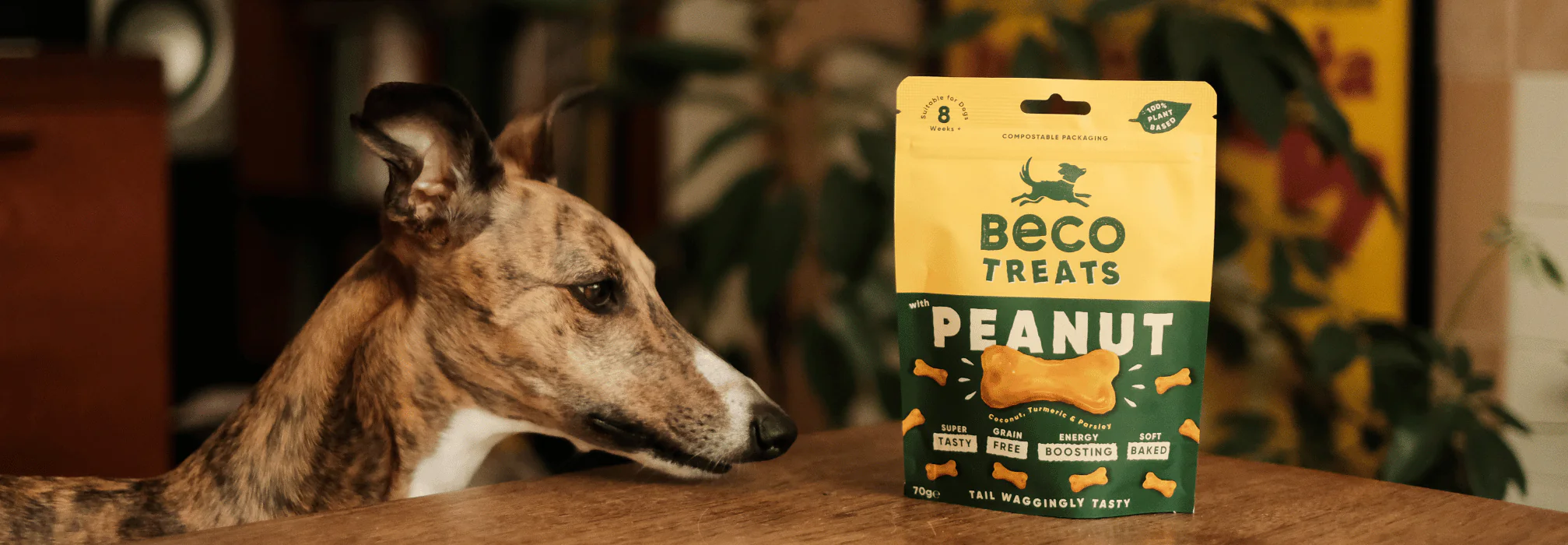 Peanut Dog Treats with Coconut & Turmeric - Image 5