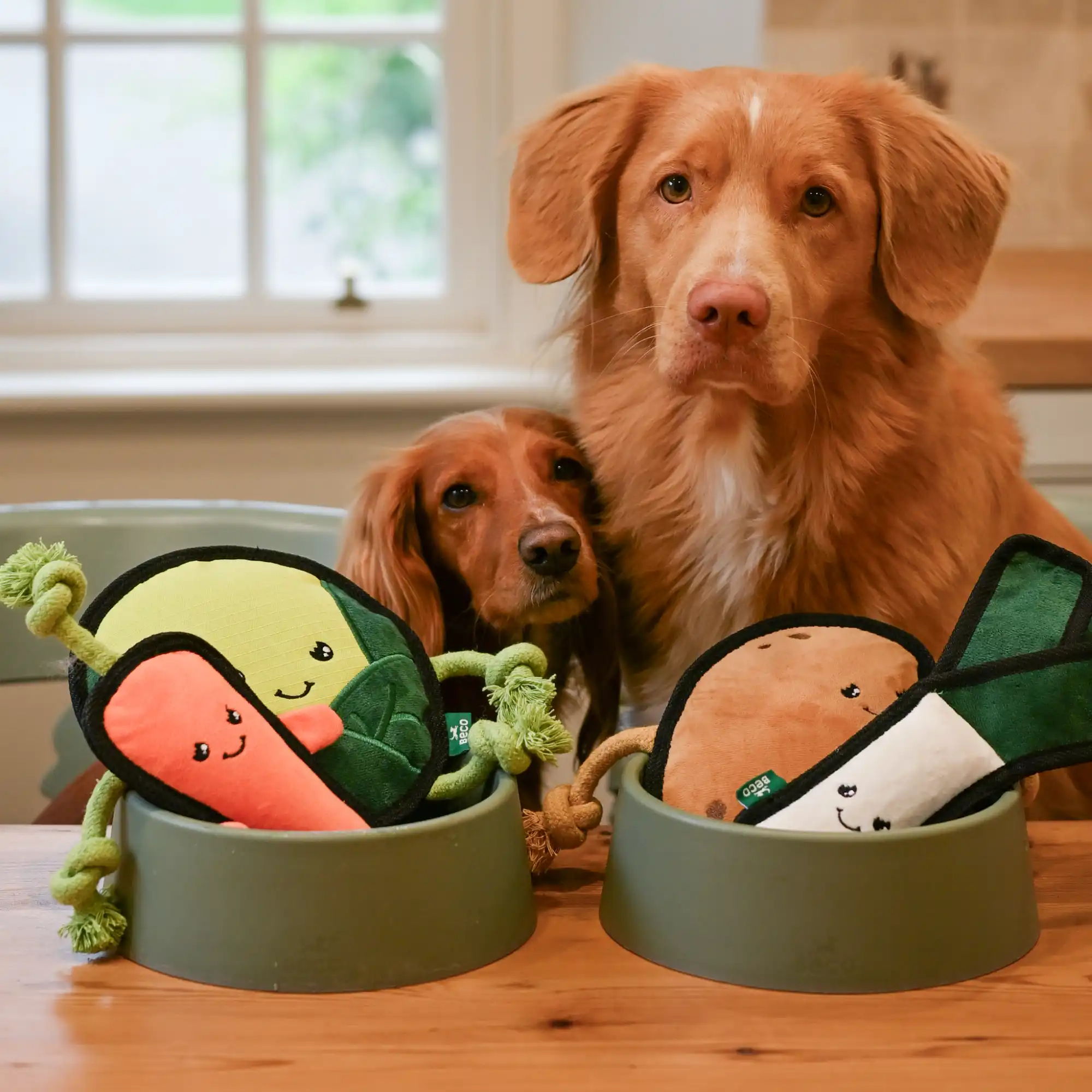 Plush Sprout Dog Toy - Image 6