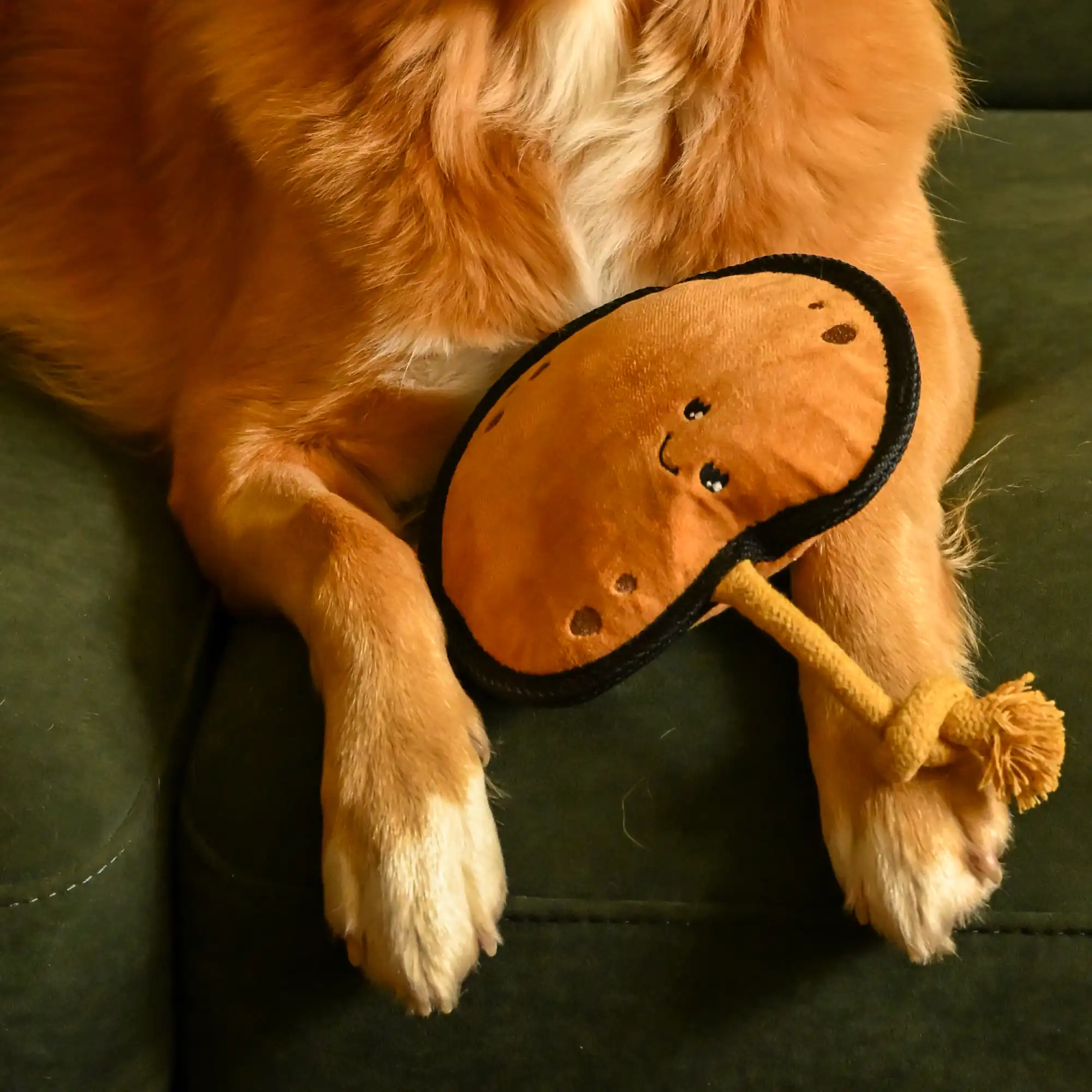 Plush Potato Dog Toy - Image 2