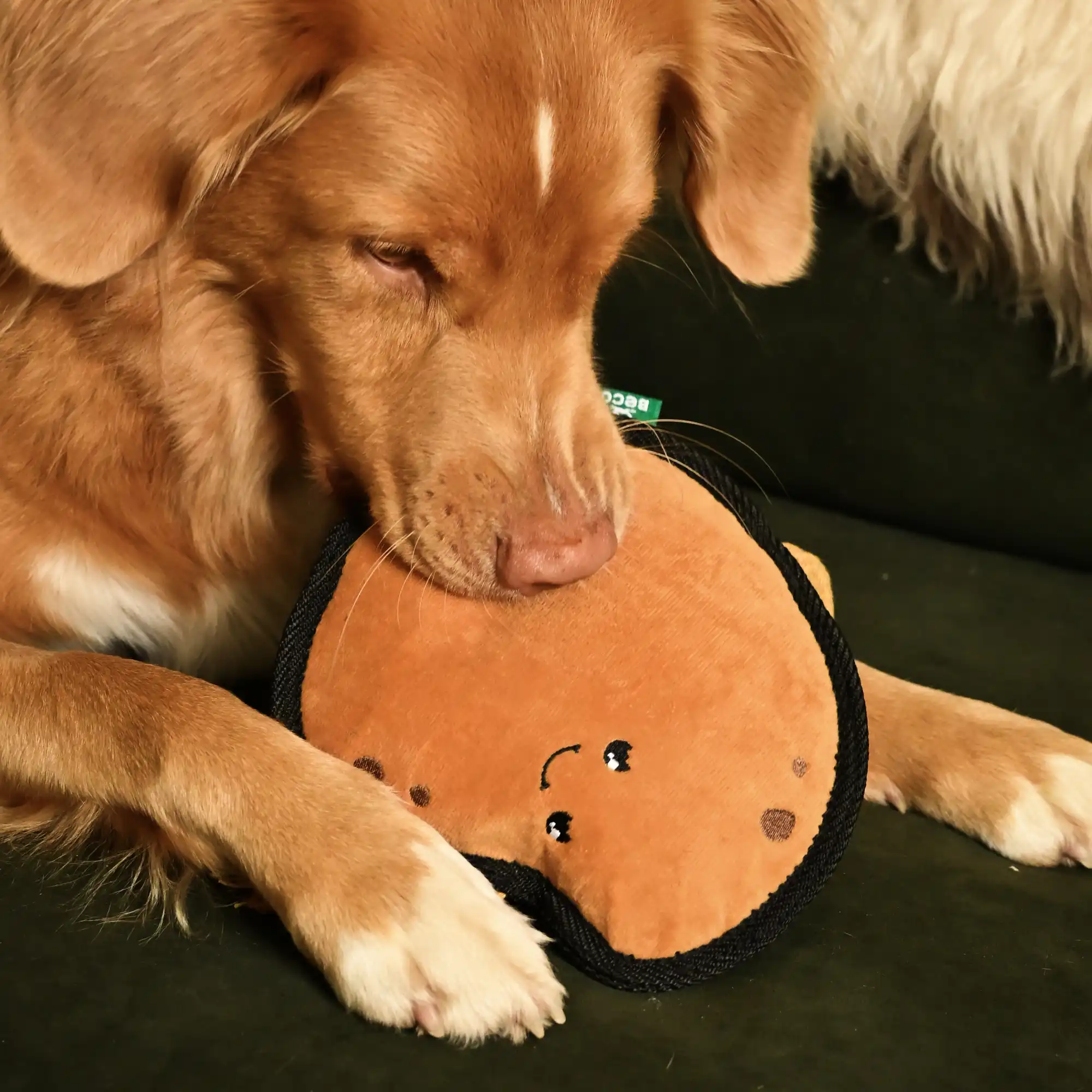 Plush Potato Dog Toy - Image 4