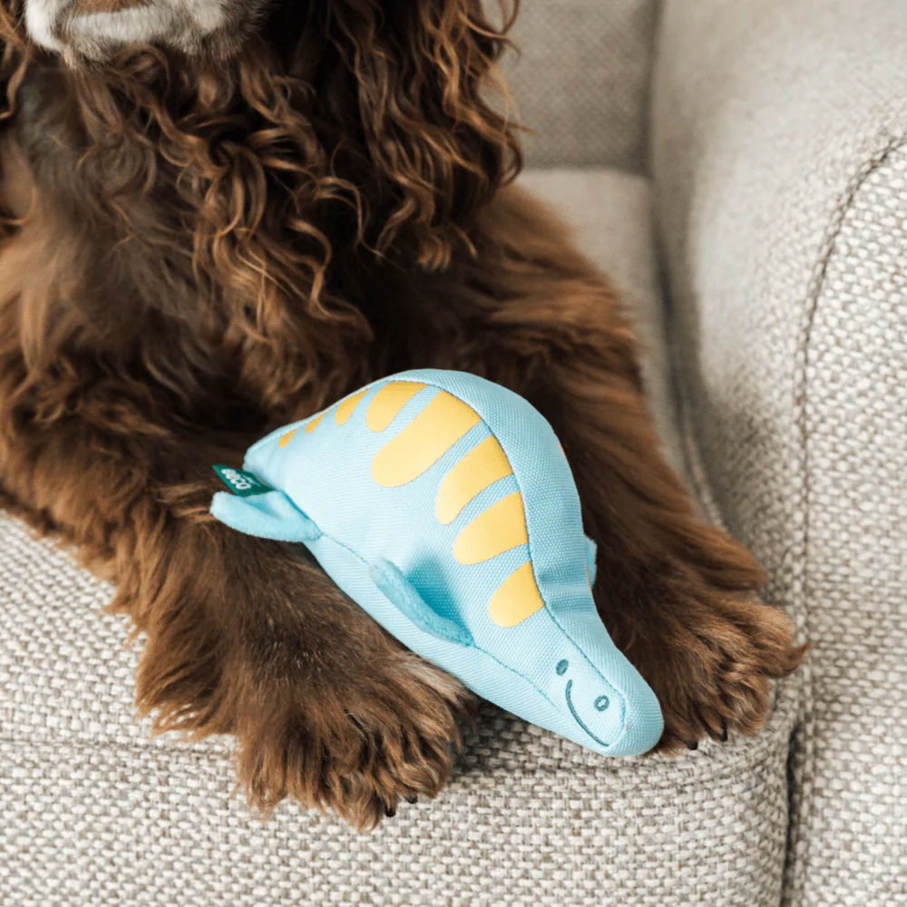 Plesiosaur Baby Dinosaur Dog Toy - Image 2