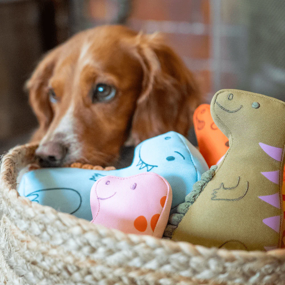 T-Rex Dinosaur Dog Toy - Image 3