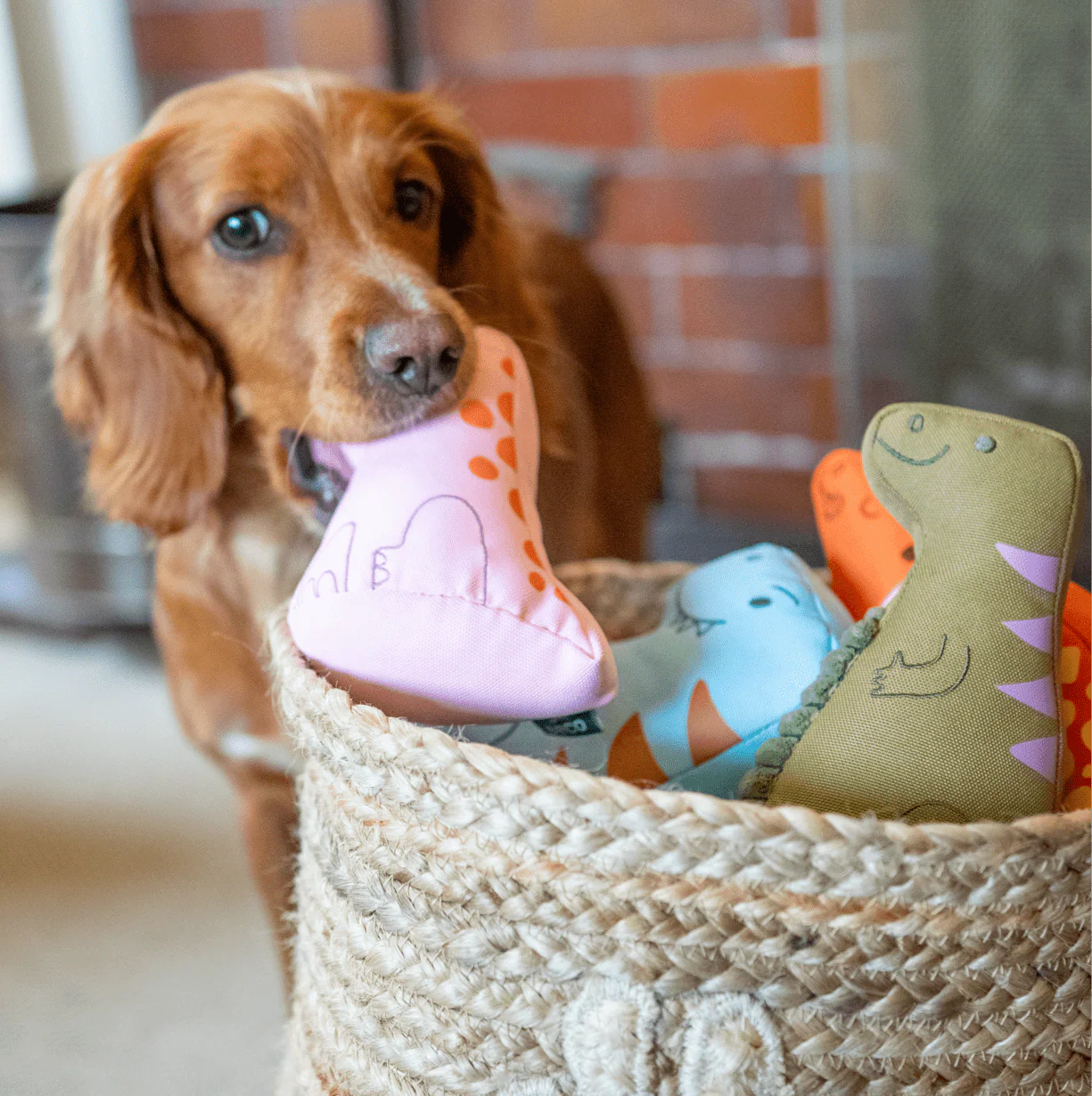 Dimetrodon Dinosaur Dog Toy - Image 4