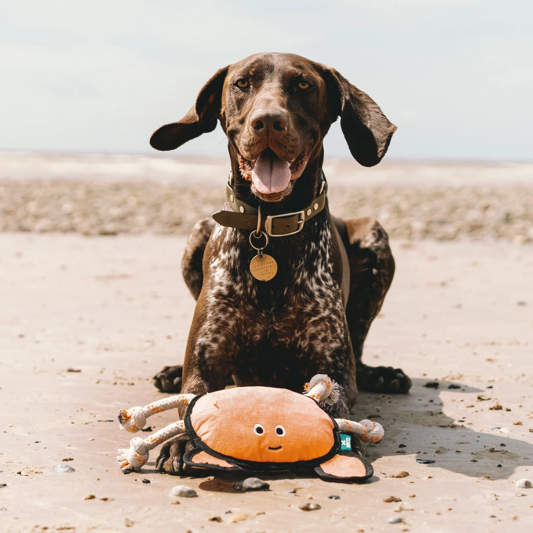 Plush Crab Dog Toy - Image 6