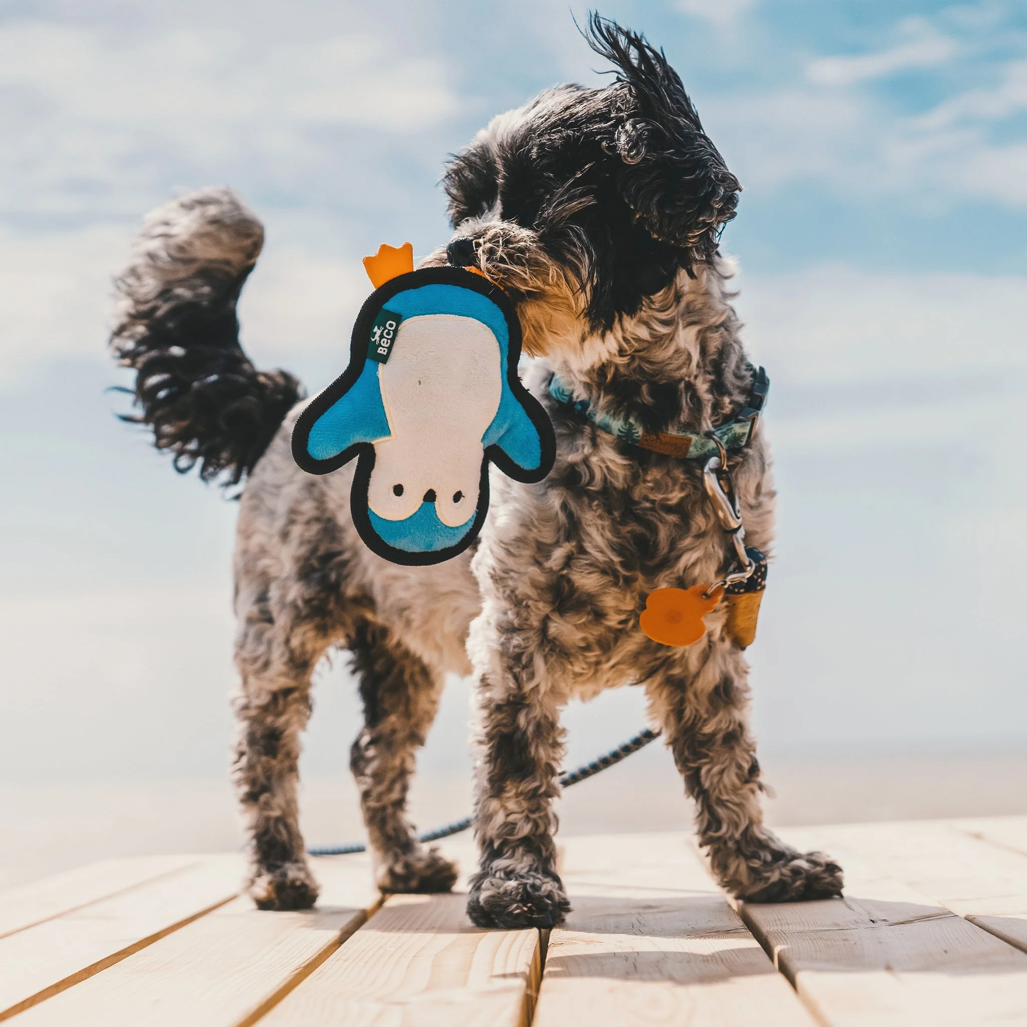 Plush Penguin Dog Toy - Image 6