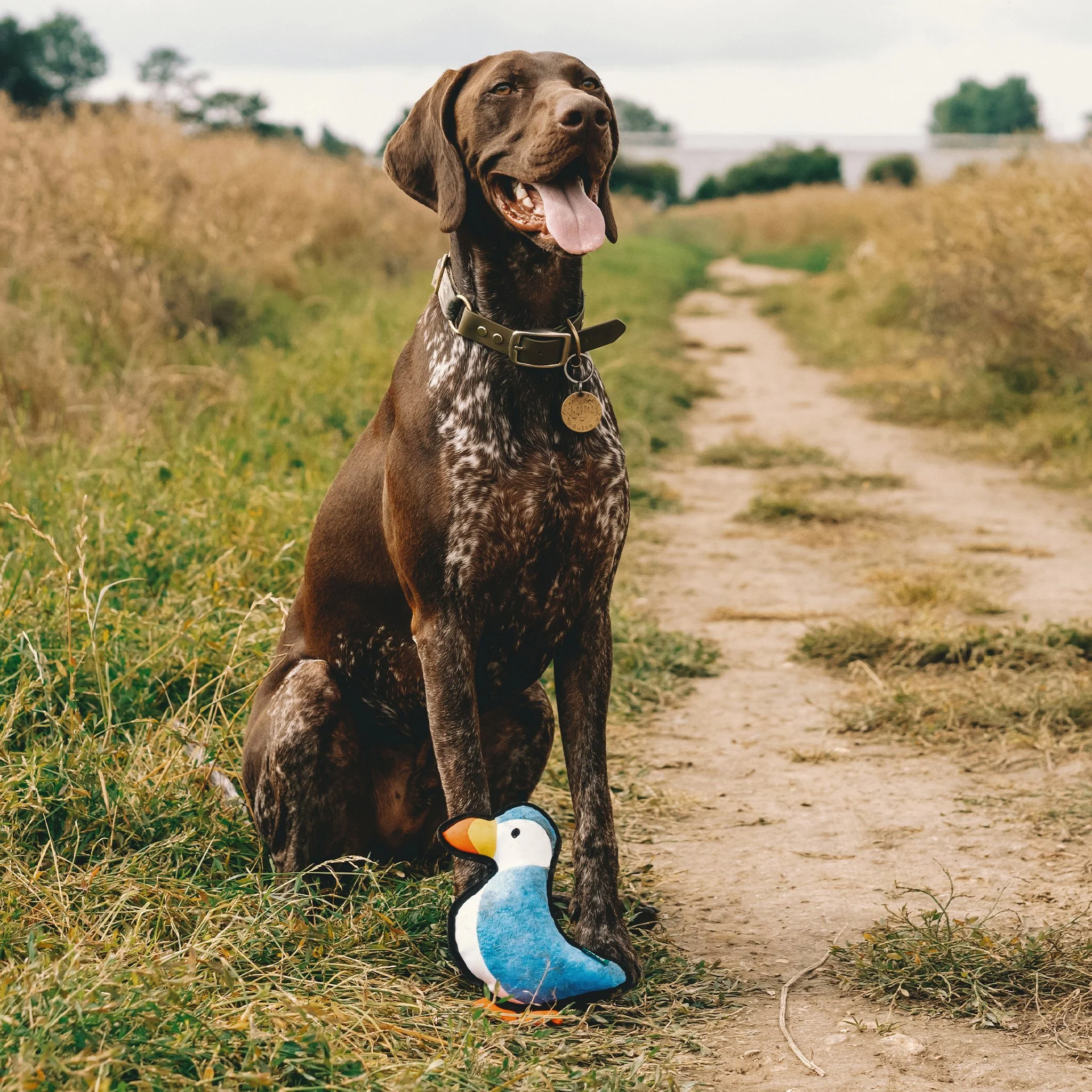 Plush Puffin Dog Toy - Image 6